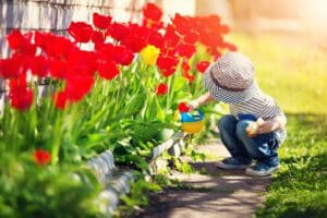 Spring Has Sprung! Prepare Your Home With Seasonal Maintenance
