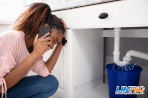 A woman on the phone with a plumber as she looks at a plumbing leak.