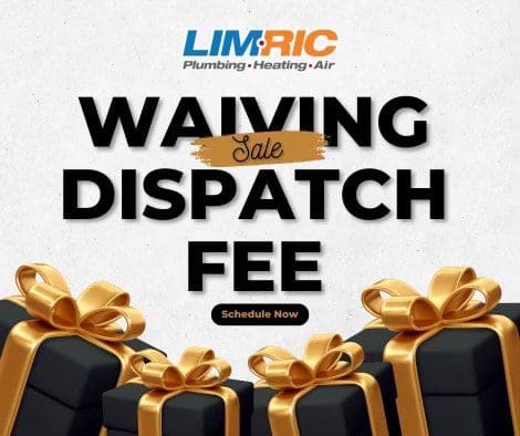 Sale: Waiving Dispatch Fee banner with presents