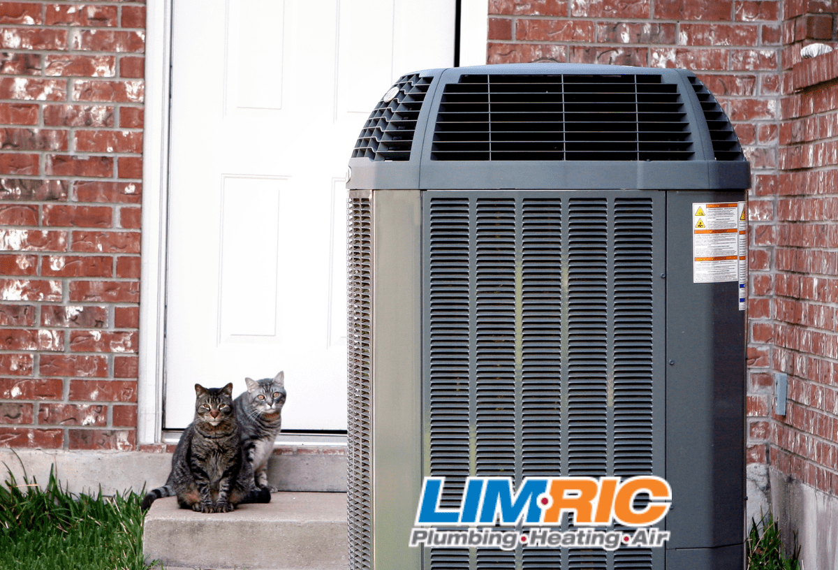 Air conditioner condenser outside of North Charleston home with cats sitting on the steps of the backyard door.