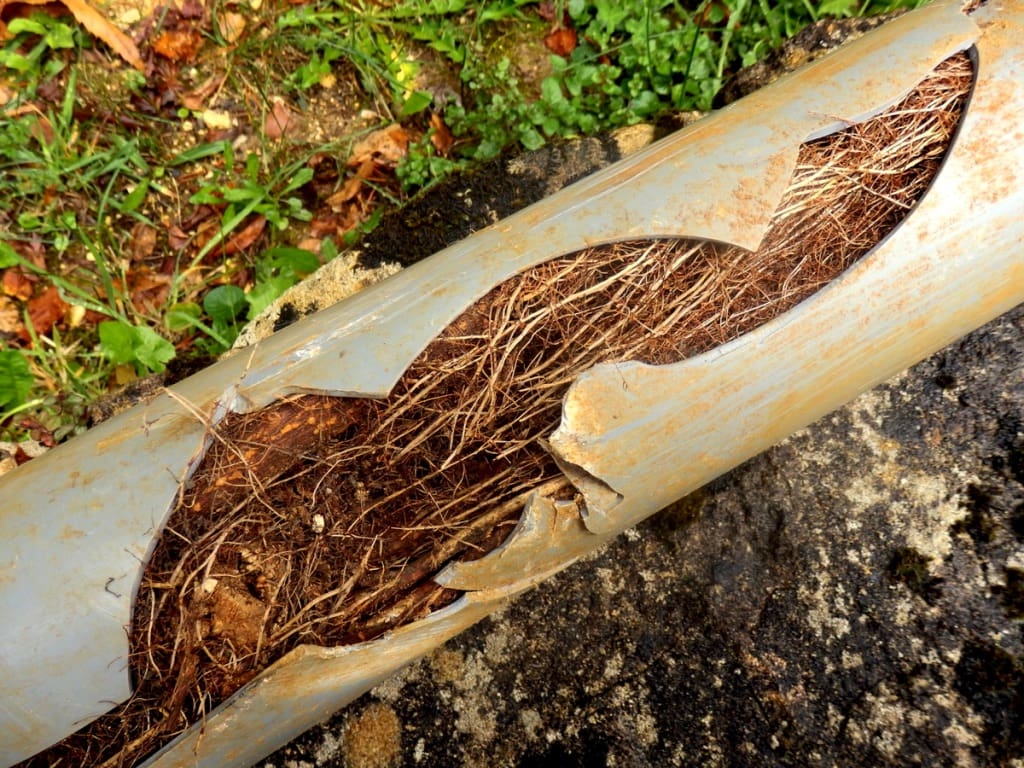 sewer-line-hydro-jetting Hydro Jetting 101: How It Works and Why You Need It