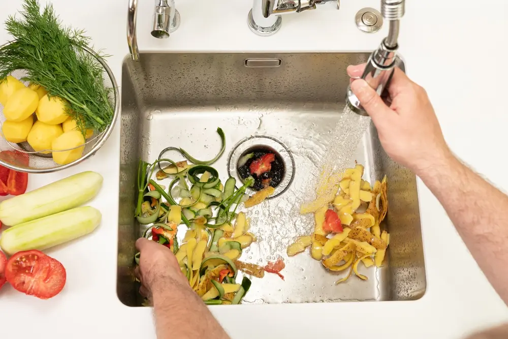 DSC08175 Garbage Disposal Services in Charleston & Summerville, SC DSC08175 Garbage Disposal Services in Charleston & Summerville, SC